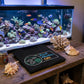 Reef Mode On T-Shirt – Men’s Black Aquarium Hobby Graphic Tee | WildVero